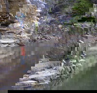 Butterfly Gorge Nature Park - Sunshine Coast Tourism