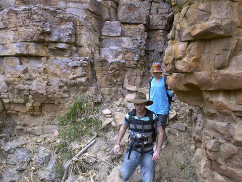 Butterfly Gorge Nature Park - Sunshine Coast Tourism 1