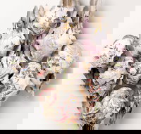 Canberra Museum and Gallery - Sunshine Coast Tourism