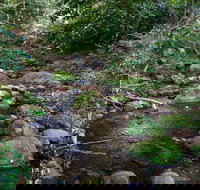 Cascades picnic area - Holiday Sunshine Coast