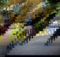 Centennial Stables - Sunshine Coast Tourism