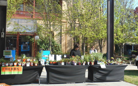 Clare Show Market - Holiday Sunshine Coast 0