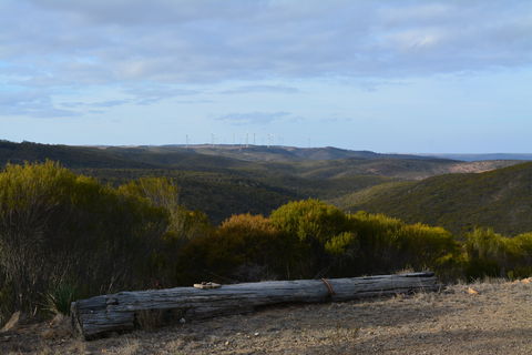 Cleve Hills Scenic Drive & Lookout - Holiday Sunshine Coast 0