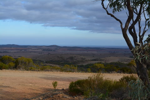 Cleve Hills Scenic Drive & Lookout - Holiday Sunshine Coast 1