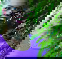 Coffs Harbour Butterfly House - Holiday Sunshine Coast