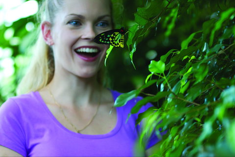 Coffs Harbour Butterfly House - Holiday Sunshine Coast 0