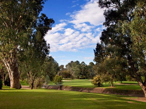 Commercial Golf Course - Sunshine Coast Tourism 0