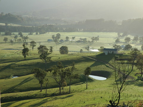 Dungog - Sunshine Coast Tourism 1