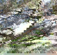 Gathercole Nature Reserve - Sunshine Coast Tourism