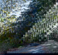 Hastings Forest Way Touring Route - Holiday Sunshine Coast