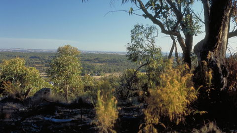Heathcote-Graytown National Park - Sunshine Coast Tourism 0