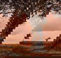 Hynam - Holiday Sunshine Coast