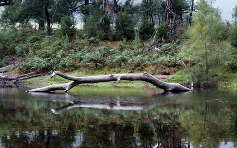 Kayaking Upper Tuross River And Bumbo Lake - Holiday Sunshine Coast 0