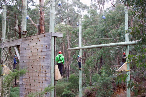 Kinglake Forest Adventures - Holiday Sunshine Coast 1