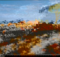 Kunjarra/The Pebbles - Holiday Sunshine Coast