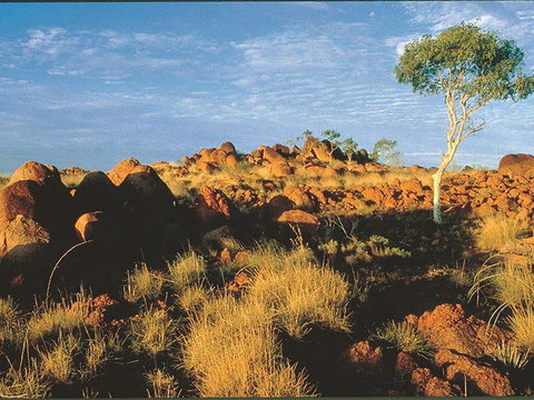 Kunjarra/The Pebbles - Holiday Sunshine Coast 0
