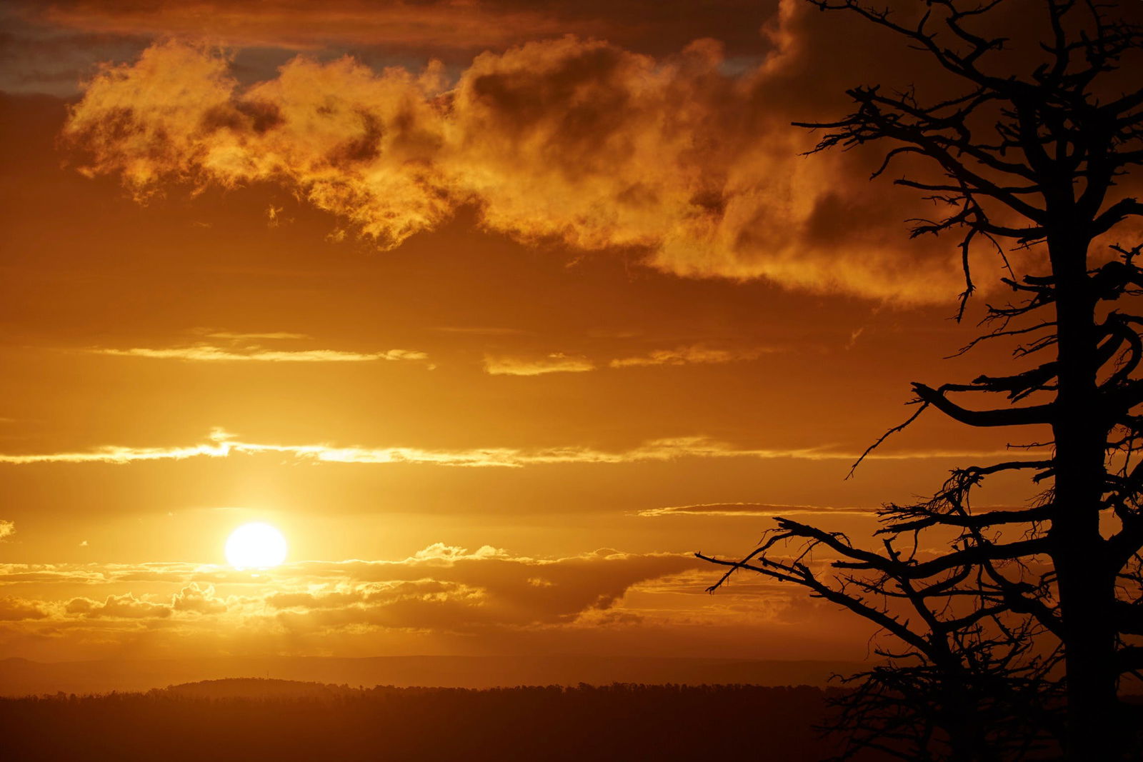 Kinglake Central VIC Sunshine Coast Tourism