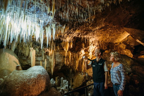 Lake Cave - Sunshine Coast Tourism 1