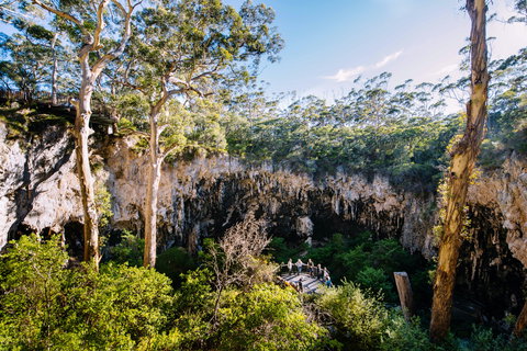 Lake Cave - Sunshine Coast Tourism 2