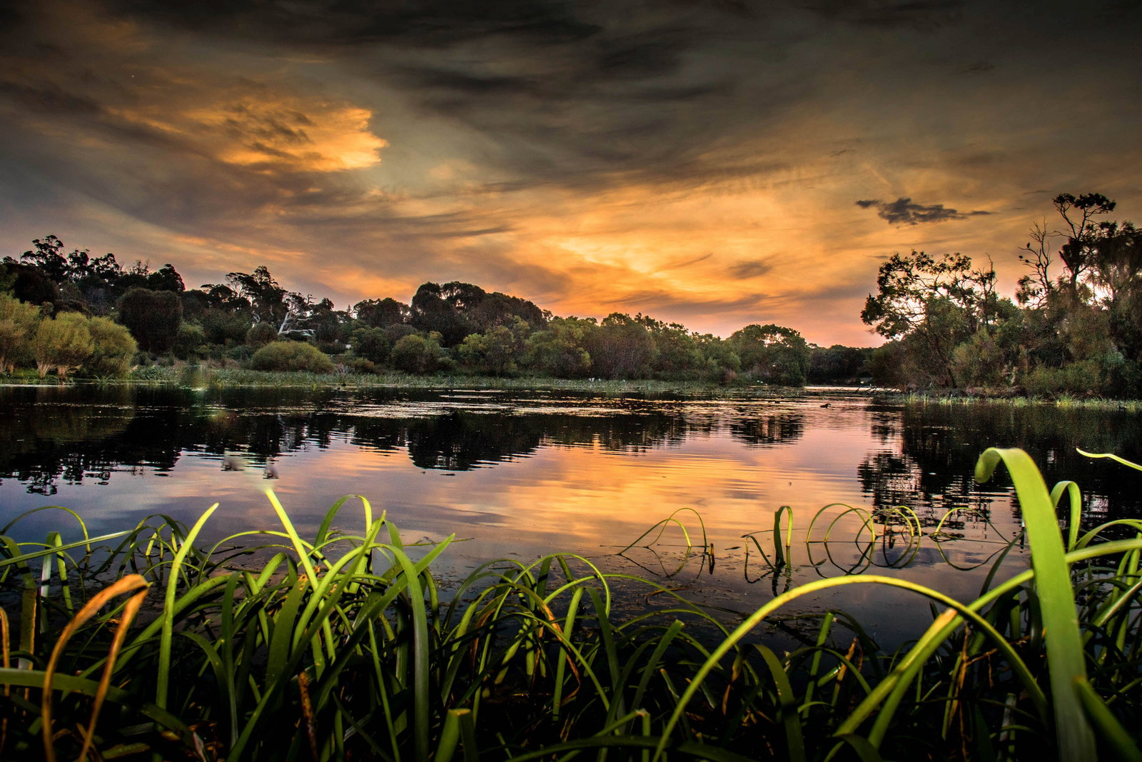  Holiday Sunshine Coast