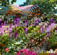 Laurel Bank Park - Holiday Sunshine Coast