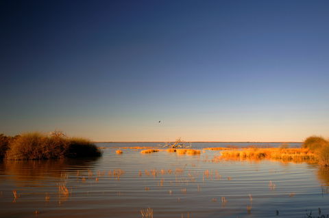 Malkumba-Coongie Lakes National Park - Holiday Sunshine Coast 0