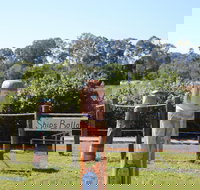 Maryboroughs Bollards - Holiday Sunshine Coast