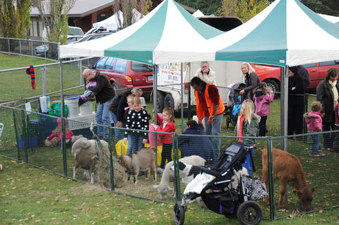 Mornington Racecourse Market - Sunshine Coast Tourism 2