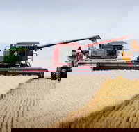 Mullaley - Sunshine Coast Tourism