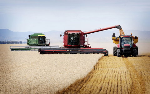 Mullaley - Sunshine Coast Tourism 0