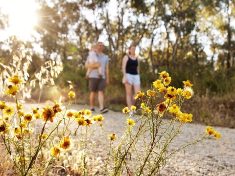 Nail Can Hill - Sunshine Coast Tourism 0