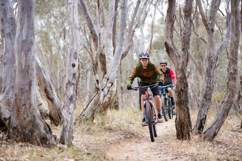Nail Can Hill - Sunshine Coast Tourism 1