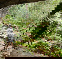Old Great North Road Bike Ride - Sunshine Coast Tourism