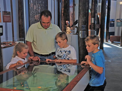 Pilliga Forest Discovery Centre - Sunshine Coast Tourism 1