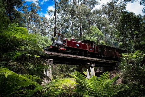 Puffing Billy Railway - Sunshine Coast Tourism 0