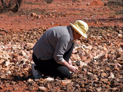 Quilpie Opal Fossicking - Sunshine Coast Tourism 1