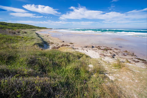 Racecourse Beach: Bawley Point - Sunshine Coast Tourism 0