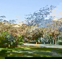 Red Cedar Flat Picnic Area - Sunshine Coast Tourism