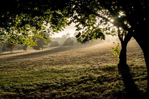 Ruffey Lake Park - Sunshine Coast Tourism 0
