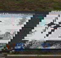 Settlement Point Viewing Platform - Sunshine Coast Tourism