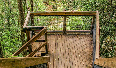 Somersby Falls Walking Track - Holiday Sunshine Coast 0