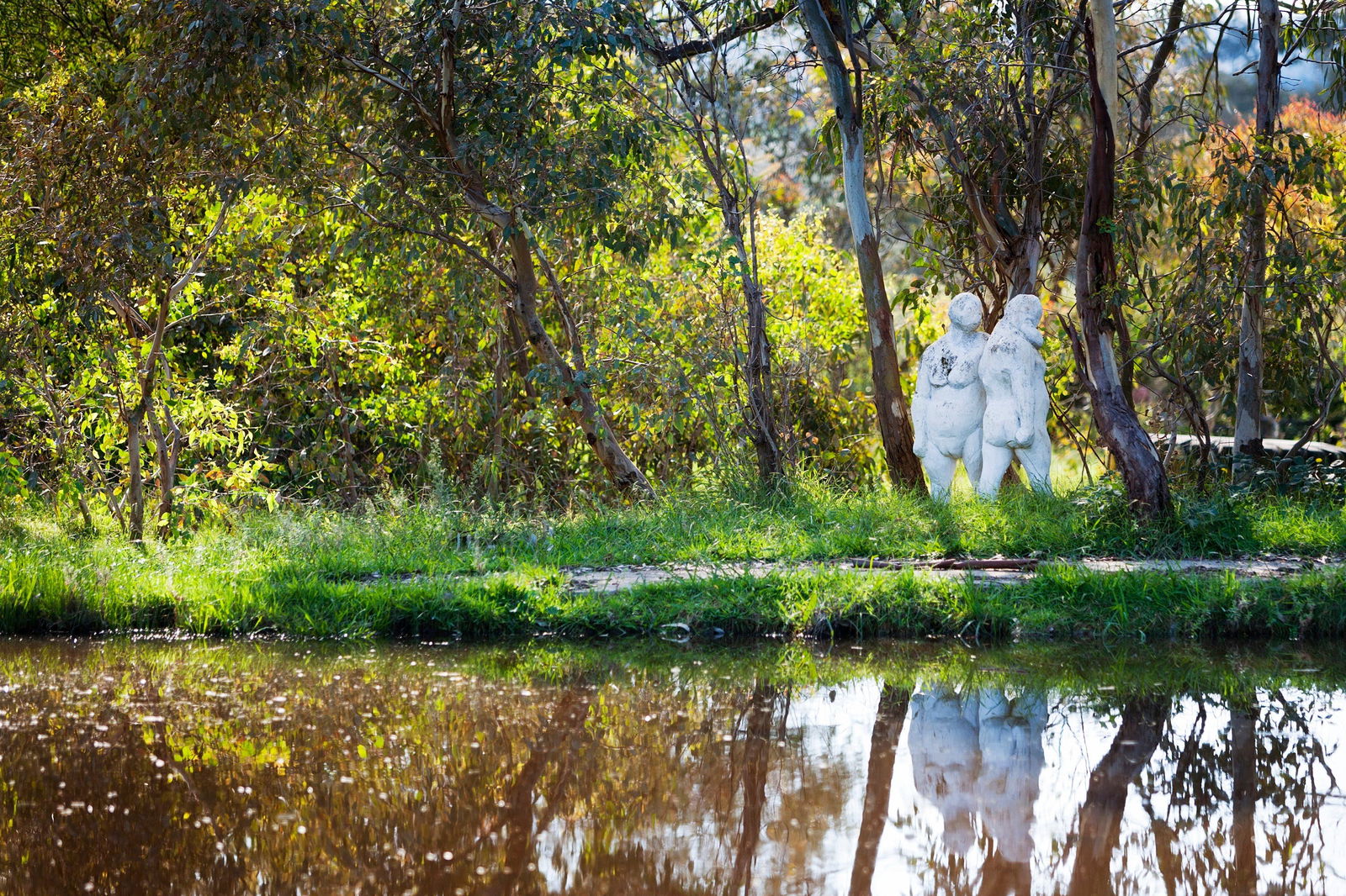 Macgregor ACT Sunshine Coast Tourism