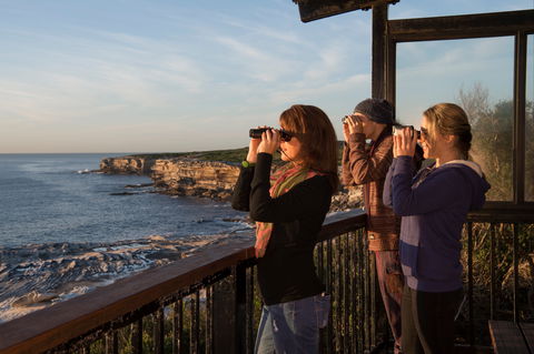 Sutherland Shire - Sunshine Coast Tourism 0