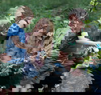 Tamworth Marsupial Park and Adventure Playground - Holiday Sunshine Coast