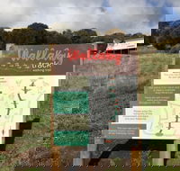 The Wallaby Track - Sunshine Coast Tourism