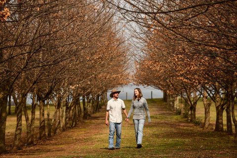 The Truffledore - Sunshine Coast Tourism 1