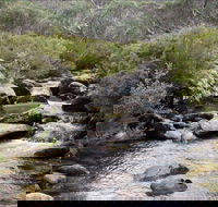 Thredbo River Track - Holiday Sunshine Coast