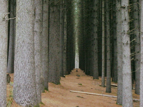 Tumut - Sunshine Coast Tourism 2