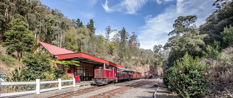 Walhalla Goldfields Railway - Sunshine Coast Tourism 1