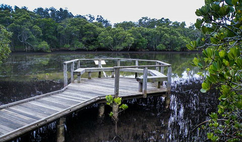 Walk On Water Walking Track - Holiday Sunshine Coast 0